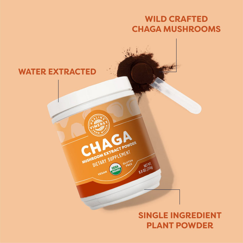 Organic Chaga Powder - 250 Gram